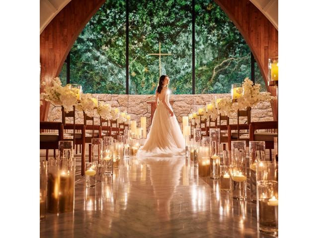 ＼嬉しい1件目来館限定の特典をご用意／