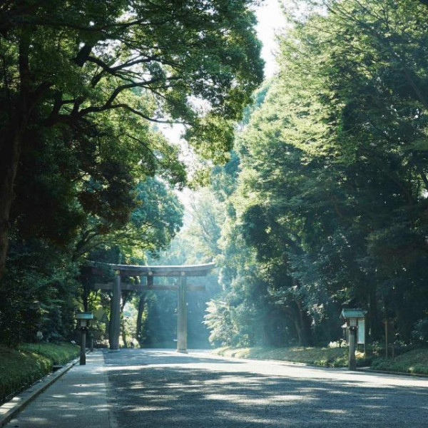 自然に包まれた「永遠の杜 」