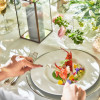 白金迎賓館 アートグレイスクラブ