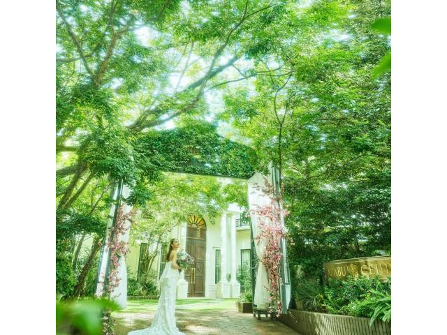 ファッションショー