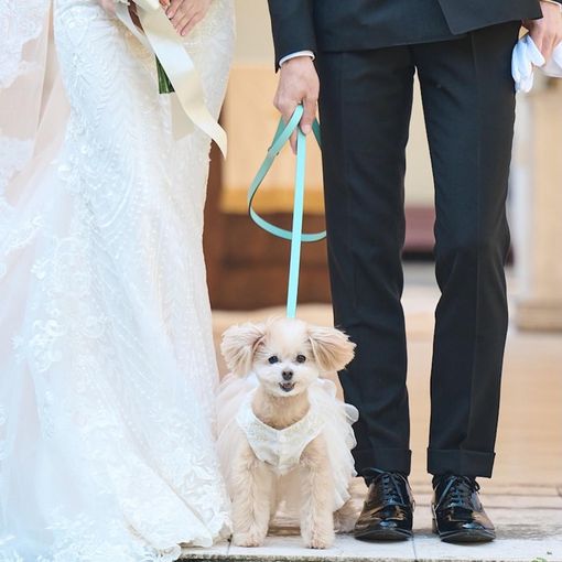 小笠原伯爵邸の結婚式の公式写真（1枚目）