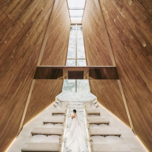 自然のスポットライトのような計算し尽くされたライティング|アーフェリーク白金/テイクアンドギヴ・ニーズウェディングの写真(55834827)