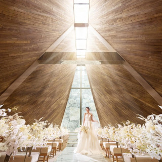 アーフェリーク白金/テイクアンドギヴ・ニーズウェディング