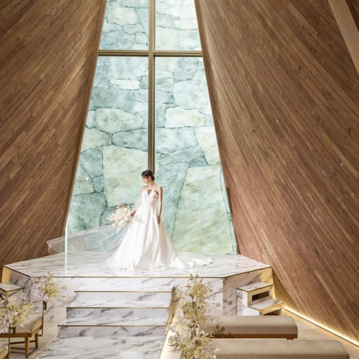 アーフェリーク白金/テイクアンドギヴ・ニーズウェディング