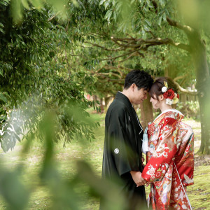 射水神社 うつくしの杜 結婚式場の写真(26443274)