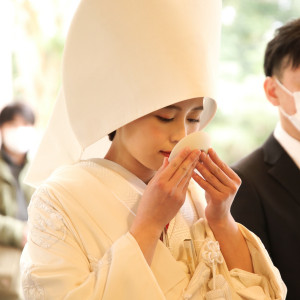 結婚生活への決意を表す「水合わせ」|射水神社 うつくしの杜 結婚式場の写真(25553520)