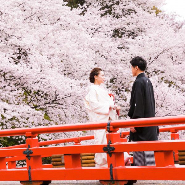 射水神社 うつくしの杜 結婚式場の結婚式費用 プラン料金 挙式 披露宴 ウエディングパーク