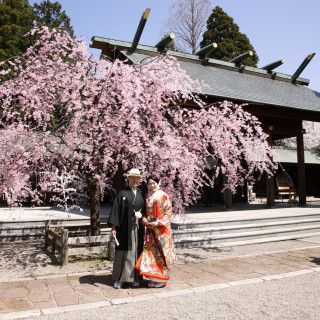 【おもてなしドリンク付き】これからの準備でも間に合う！人気の春婚フェア