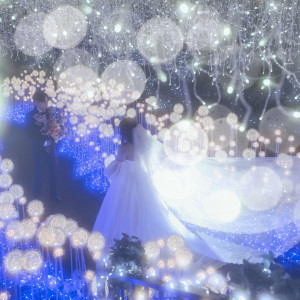 大聖堂×スナップ・前撮り撮影で『ここでしか残せない1枚を』