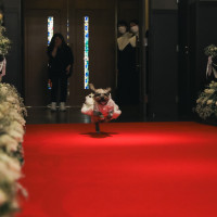 宮の森フランセス教会