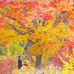 和装×紅葉は相性抜群!!|札幌パークホテルの写真(38761399)
