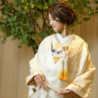 袖周りに金糸・銀糸で装飾されたこの着物は黄色や赤色などの小物と相性が抜群です。