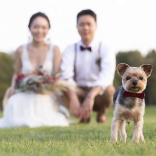 【愛犬・ペットと叶える感動WD】ペット婚演出×最旬会場見学