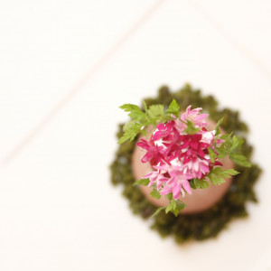 お料理には可愛らしいデザートも♡|ベルクラシック帯広の写真(49879646)