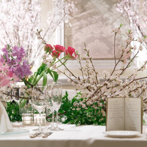 Cherry Blossoms|ザ・リッツ・カールトン大阪の写真(1102630)