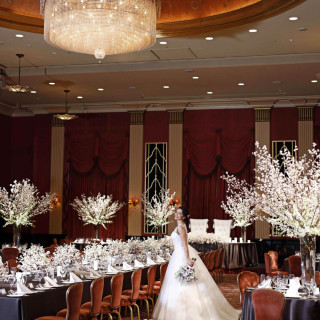 ◆1/18限定◆年2回のBIGフェア【SPRINGフェスタ】