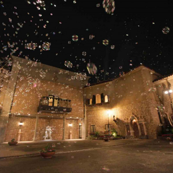 ナイトウェディングは大人のムードで|プリムローズ/FIVESTAR WEDDINGの写真(310581)