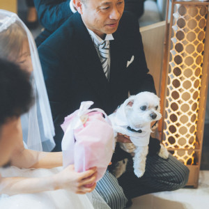 L,ARRIVO　エル・アリーヴォの写真(54561596)