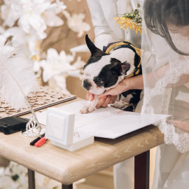 《ペットフレンドリー》愛犬と一緒に挙式＆披露宴も過ごせる