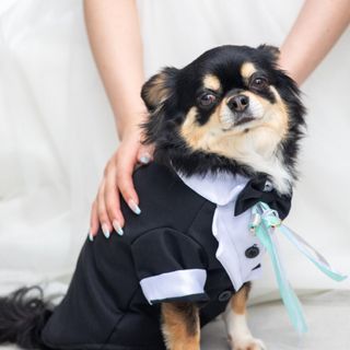 【ペット婚ご検討の方】愛犬と2泊3日★大切な家族と叶える結婚式