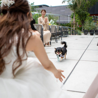 【挙式も披露宴もペットOK】満足度◎贅沢を愉しむ上質ホテル体験