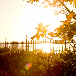 ガーデンを照らす夕日|海辺のガーデンハウス リーベリアの写真(30998353)