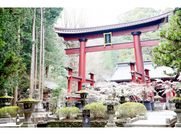 北口本宮冨士浅間神社