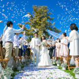 沢山のゲストに見守られて祝福のフラワーシャワー。自然と笑顔に包まれる