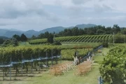 中伊豆ワイナリー シャトーT.S