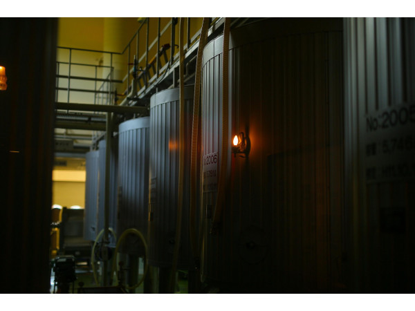 中伊豆ワイナリー シャトーT.S