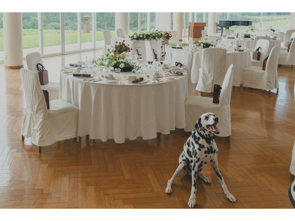 オーナーレセプションハウス