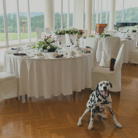 【土日祝開催】～愛犬と一緒に参加できる～ワイナリーウエディング相談会