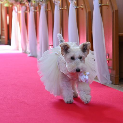 ベルクラシック大阪の結婚式の公式写真（2枚目）