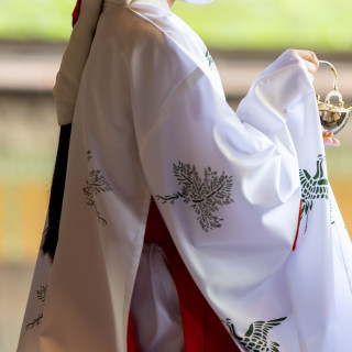 優美に舞う、伝統の装いと祈りの息吹