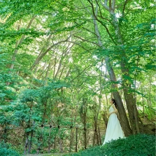【予算重視◎直近お得】札幌の森で叶える夏婚×100万＆衣裳優待
