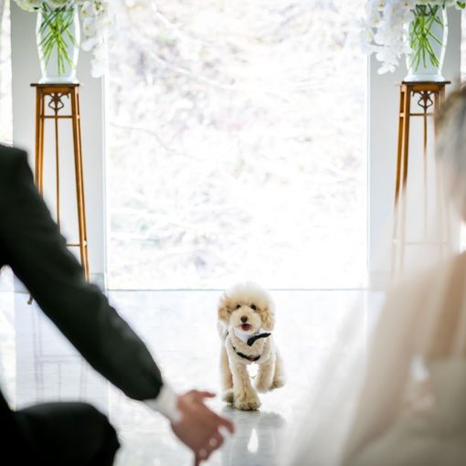 ジャルダン・ドゥ・ボヌールの結婚式の公式写真（1枚目）