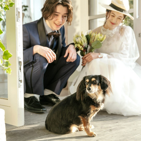 マリノアシティ福岡周辺のペットと一緒の結婚式ができる結婚式場 口コミ人気の1選 ウエディングパーク