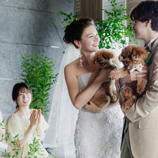 \ペットと一緒に/ワンちゃん料理特典付♪糸島フレンチ×360°海会場