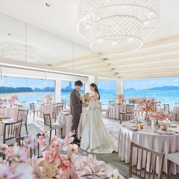 公式HP予約限定［写真］スナップ写真5.5万円OFF