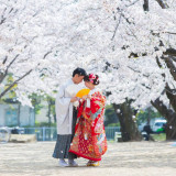桜をバックに和装ショット
前撮りならではのお写真です