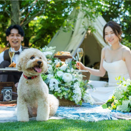 【平日限定フォトW◆11万円~】会場見学×フォトW相談フェア