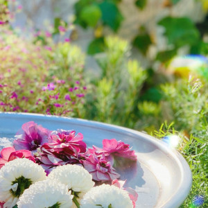 【ガーデン】2人の好きな花をガーデニングに取り込んでみて。瑞々しく光溢れるガーデンパーティを。|マリエカリヨン名古屋の写真(24909826)