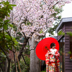 春爛漫。桜が咲き誇る庭園での一枚。|エルムガーデンの写真(33406911)