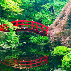 夏の深緑バックの太鼓橋|エルムガーデンの写真(33388857)