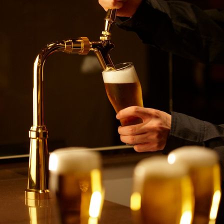 生ビールでおもてなし|ベルクラシック旭川の写真(538324)