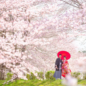 日本の四季を感じる撮影も素敵♪|アンジェブリッサの写真(2431246)
