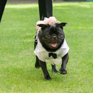 【大切な家族の一員も一緒に】自家製デザート試食付ペットW相談会