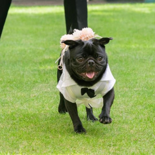 【大切な家族の一員も一緒に】自家製デザート試食付ペットW相談会