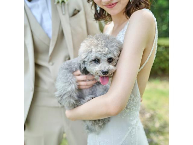 【初見学でも安心♪”何もわからない”おふたりにぴったりのご提案】