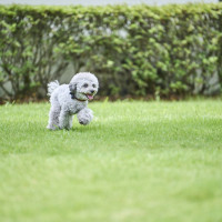 アーカンジェル迎賓館（仙台）/テイクアンドギヴ・ニーズウェディング